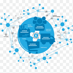 Legal Opinion Writing